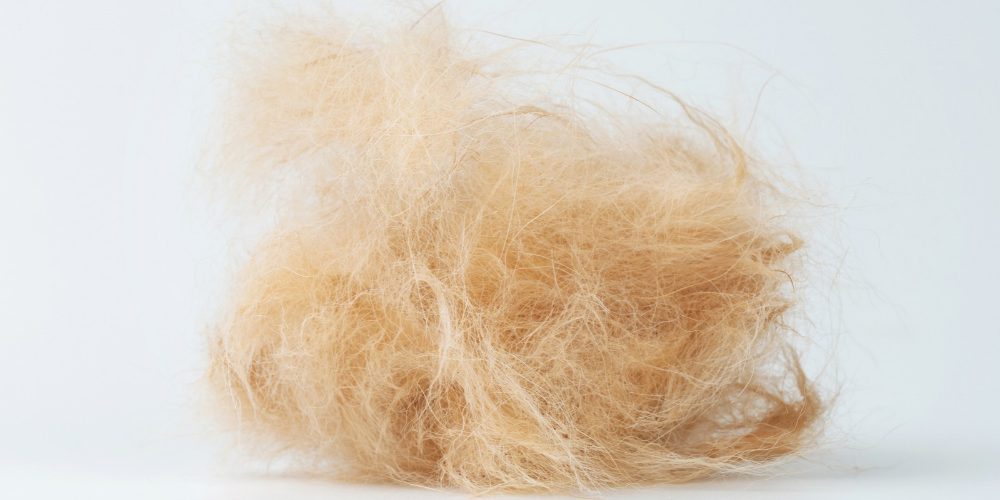 A close-up of a ball of tangled pet hair